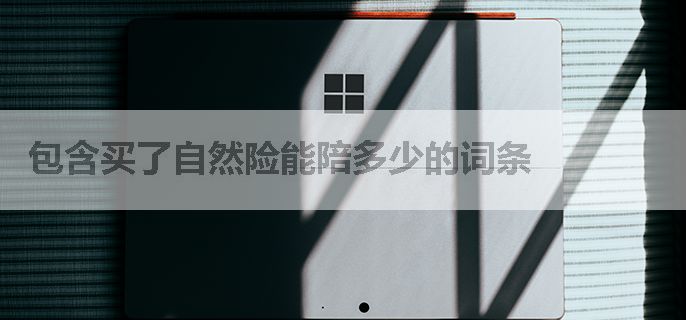 包含买了自然险能陪多少的词条
