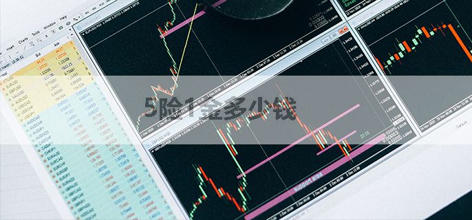 5险1金多少钱