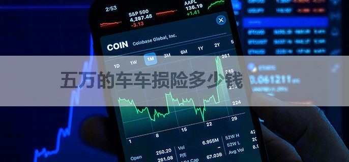 五万的车车损险多少钱
