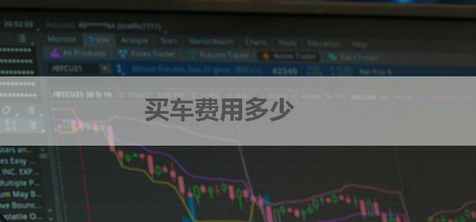 买车费用多少