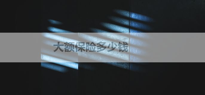 大额保险多少钱