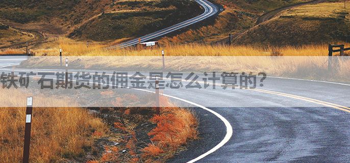 铁矿石期货的佣金是怎么计算的？