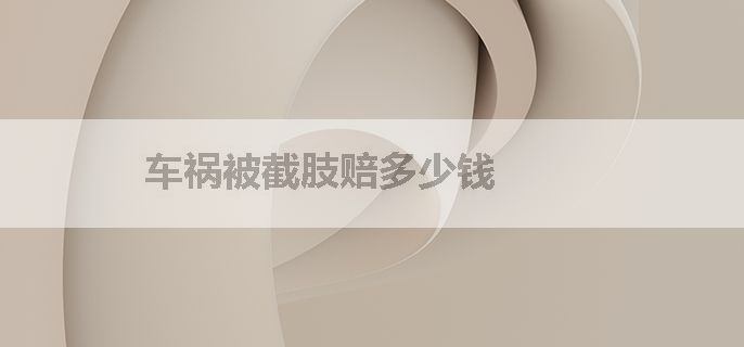 车祸被截肢赔多少钱