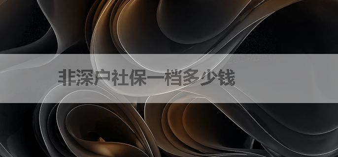 非深户社保一档多少钱