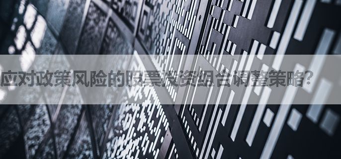 应对政策风险的股票投资组合调整策略？