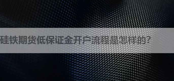 硅铁期货低保证金开户流程是怎样的？