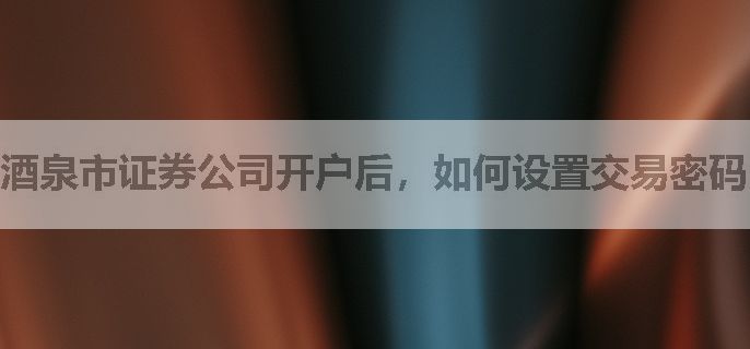 酒泉市证券公司开户后，如何设置交易密码？