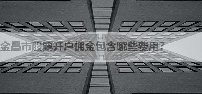 金昌市股票开户佣金包含哪些费用？