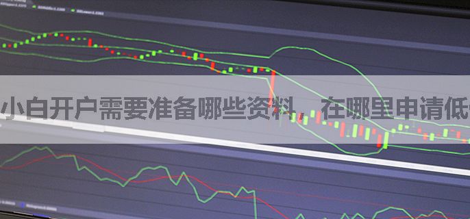 小白开户需要准备哪些资料，在哪里申请低佣金优惠