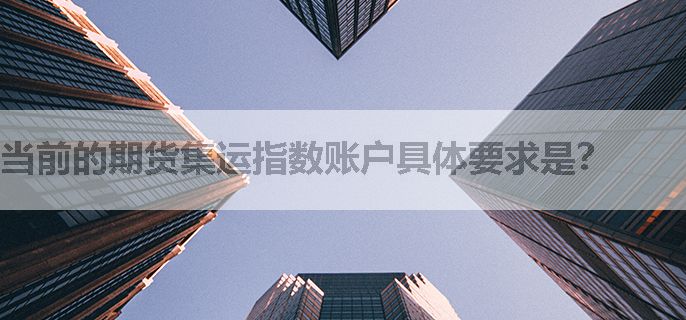当前的期货集运指数账户具体要求是？