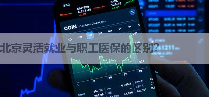 北京两类医保政策对比