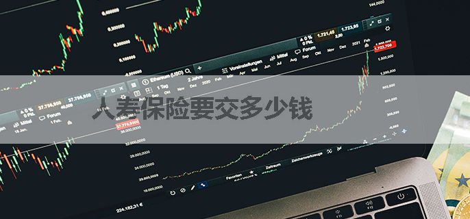 人寿保险年度保费