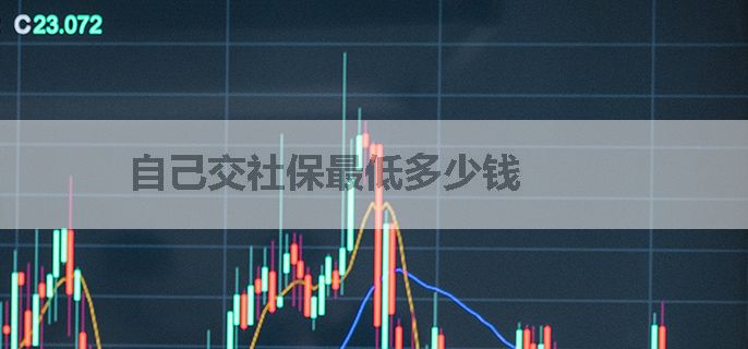 自己交社保最低多少钱