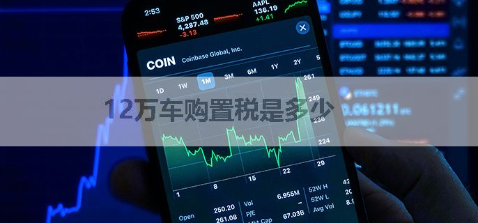 12万元车辆购置税计算