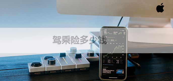 驾乘险多少钱
