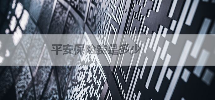 平安保险费是多少