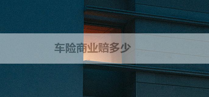 车险商业赔多少