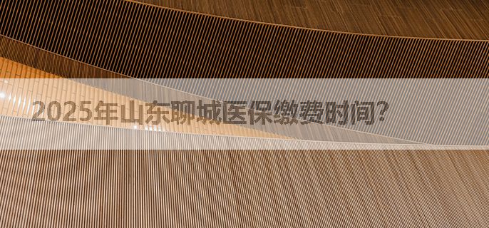 2025年山东聊城医保缴费时间？