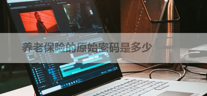 养老保险的原始密码是多少