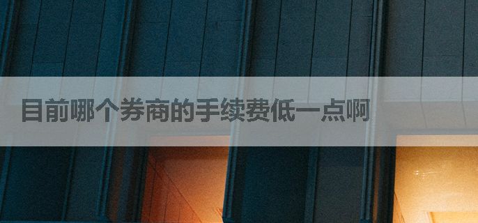 目前哪个券商的手续费低一点啊