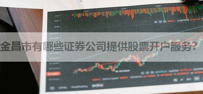 金昌市有哪些证券公司提供股票开户服务？