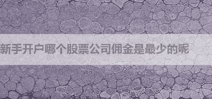 新手开户哪个股票公司佣金是最少的呢