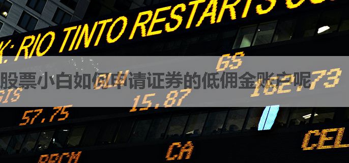 股票小白如何申请证券的低佣金账户呢