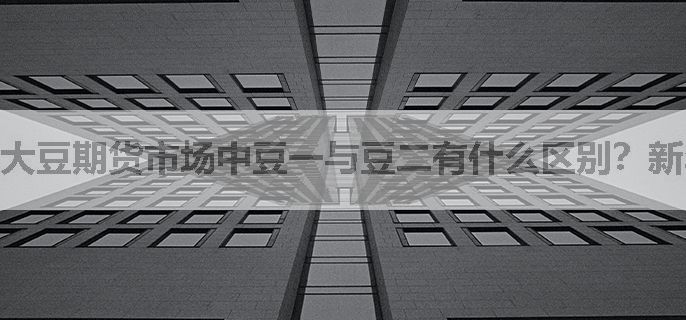 大豆期货市场中豆一与豆二有什么区别？新年必看