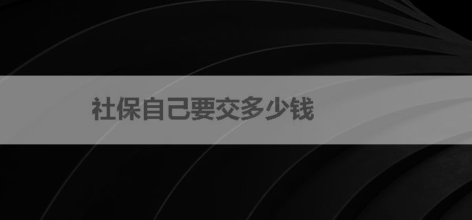 社保自己要交多少钱