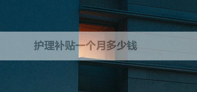 护理补贴一个月多少钱