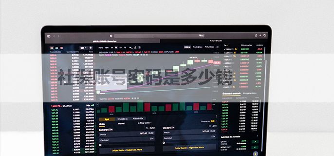 社保账号密码是多少钱