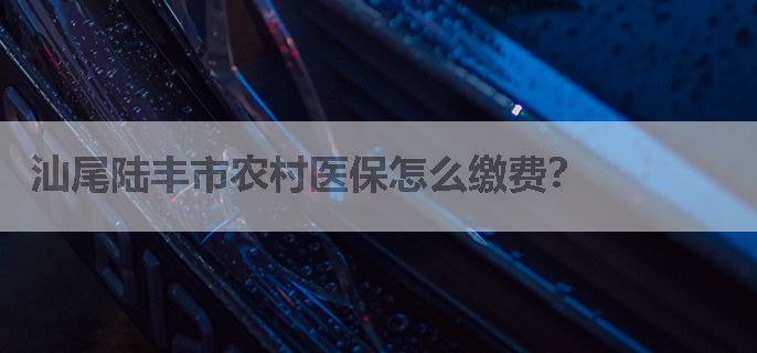 汕尾陆丰市农村医保怎么缴费？