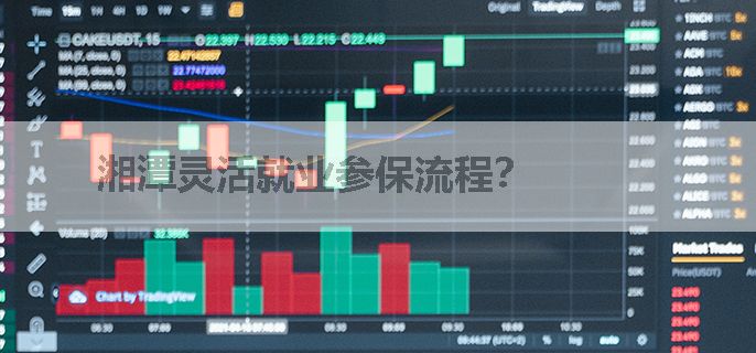 湘潭灵活就业参保流程？