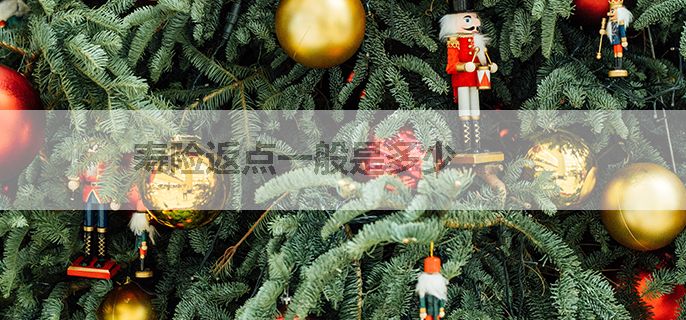 寿险返点一般是多少