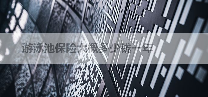 游泳池保险大概多少钱一年