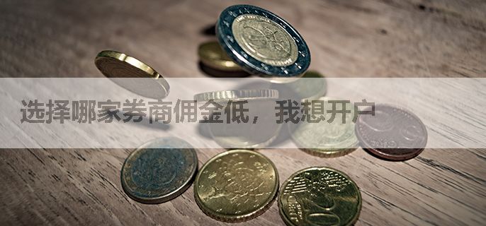 选择哪家券商佣金低，我想开户