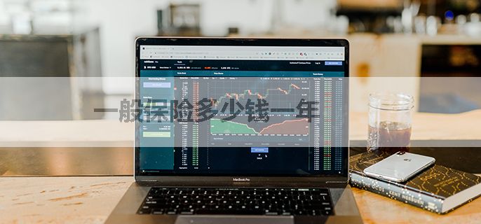 一般保险多少钱一年