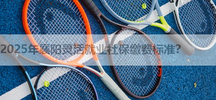2025年襄阳灵活就业社保缴费标准？