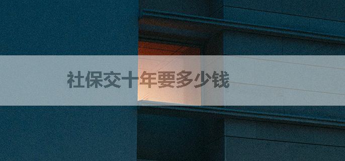 社保交十年要多少钱