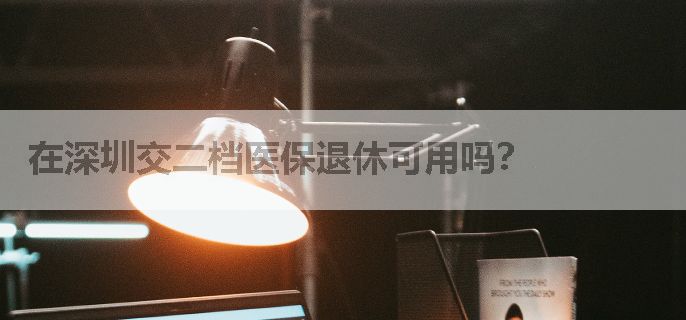 在深圳交二档医保退休可用吗？