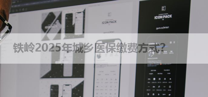铁岭2025年城乡医保缴费方式？