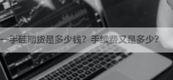 一手硅期货是多少钱？手续费又是多少？