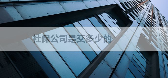 社保公司是交多少的