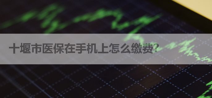 十堰市医保在手机上怎么缴费？