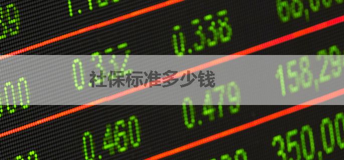 社保标准多少钱