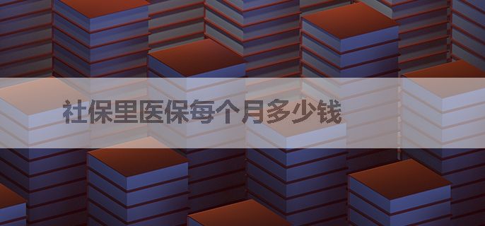 社保里医保每个月多少钱
