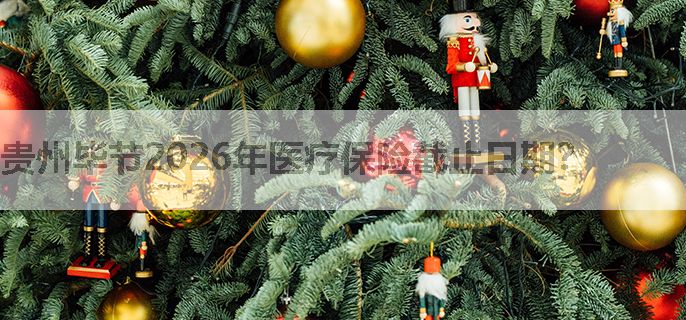 贵州毕节2026年医疗保险截止日期？