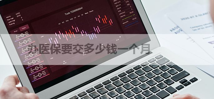 办医保要交多少钱一个月