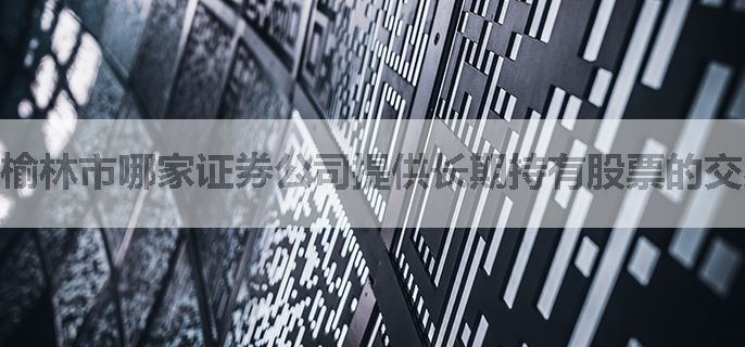 榆林市哪家证券公司提供长期持有股票的交易佣金优惠？