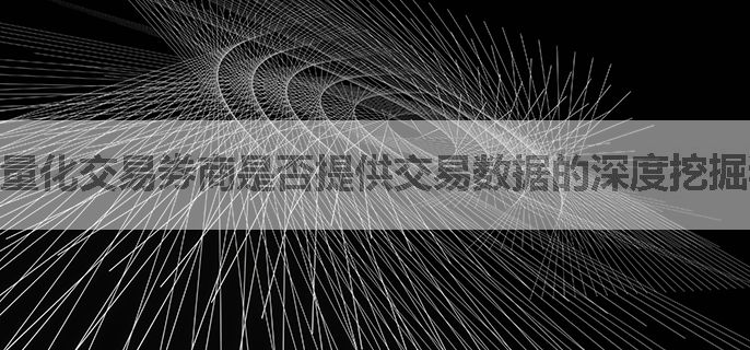 量化交易券商是否提供交易数据的深度挖掘和分析？